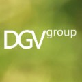 Logo DGV Group