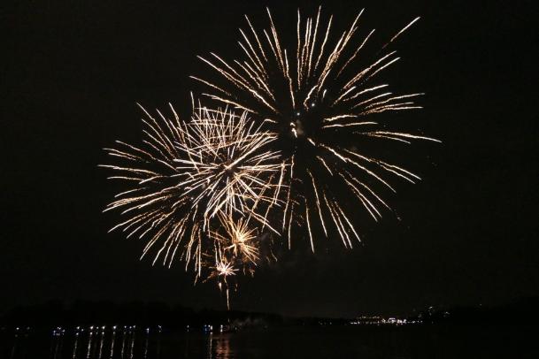 Vuurwerk In November Dat Willen We Niet